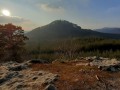 20210310_163542-01