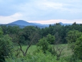 p1460881