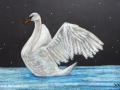 Swan Dream