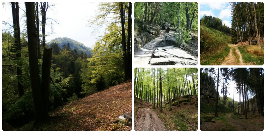 PicMonkey Collage