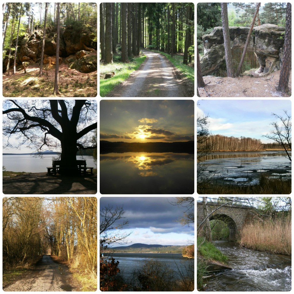 Rozcestnik