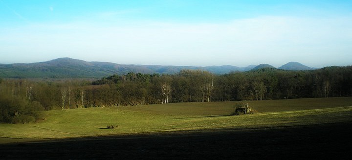 prasečí vršek
